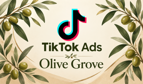 捷克 TikTok Ads 广告账户｜Business Center 4个广告账户｜后付款｜公司文件验证