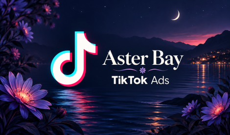 美国 TikTok Ads 广告账户｜BC企业验证｜后付款｜最多3个广告账户及个人账户