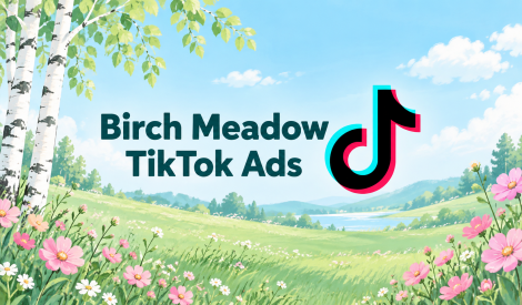 法国 TikTok Ads 广告账户｜Business Center 3个广告账户｜USD 预付款｜已验证