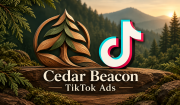 德国 TikTok Ads 广告账户｜后付款｜USD｜150欧元优惠券