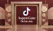 法国 TikTok Ads 老账户｜企业验证｜4 个广告账户｜USD 预付款